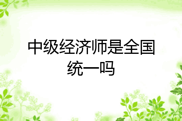 中级经济师是全国统一吗