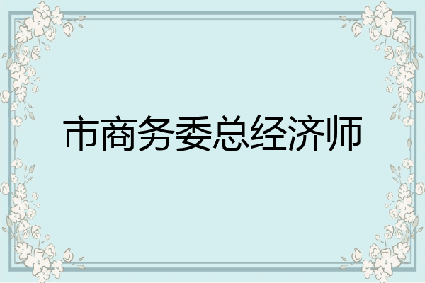 市商务委总经济师