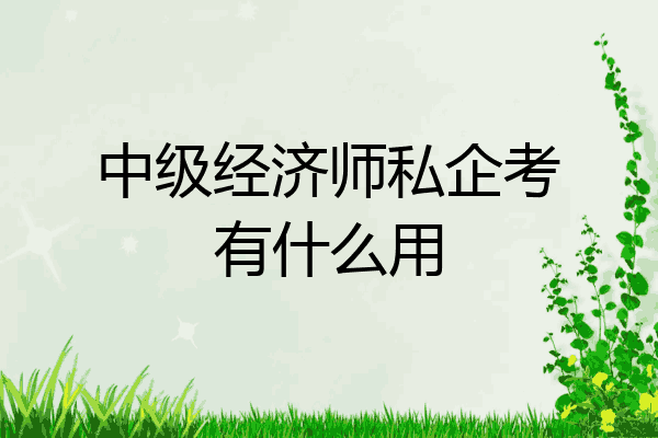 中级经济师私企考有什么用