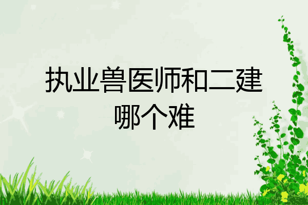 执业兽医师和二建哪个难