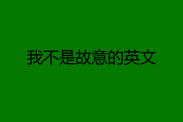 我不是故意的英文