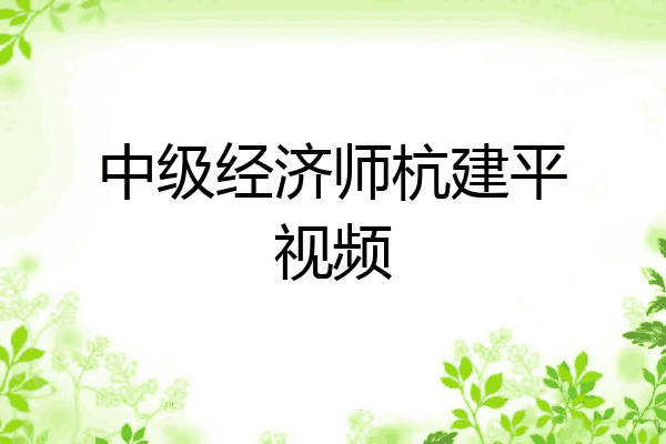 中级经济师杭建平视频