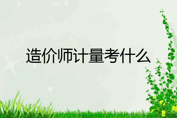 造价师计量考什么