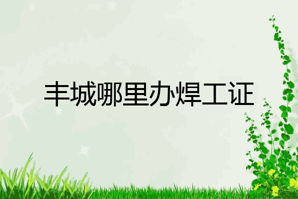 丰城哪里办焊工证