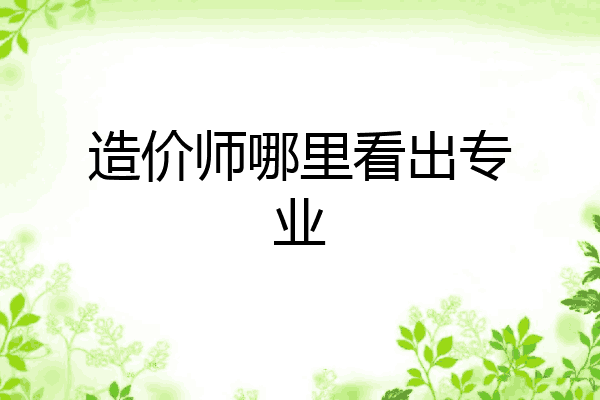 造价师哪里看出专业