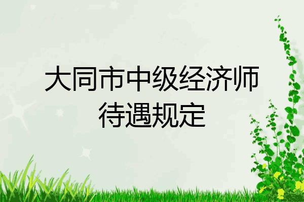 大同市中级经济师待遇规定