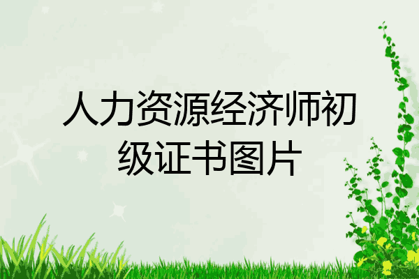 人力资源经济师初级证书图片