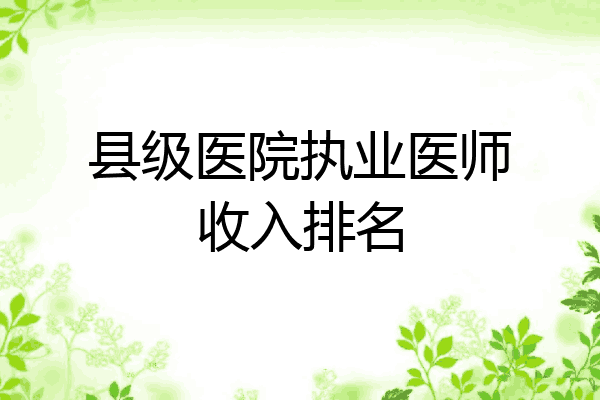 县级医院执业医师收入排名