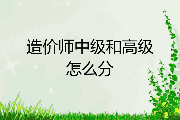 造价师中级和高级怎么分