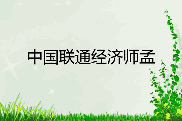 中国联通经济师孟