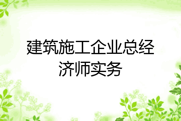 建筑施工企业总经济师实务