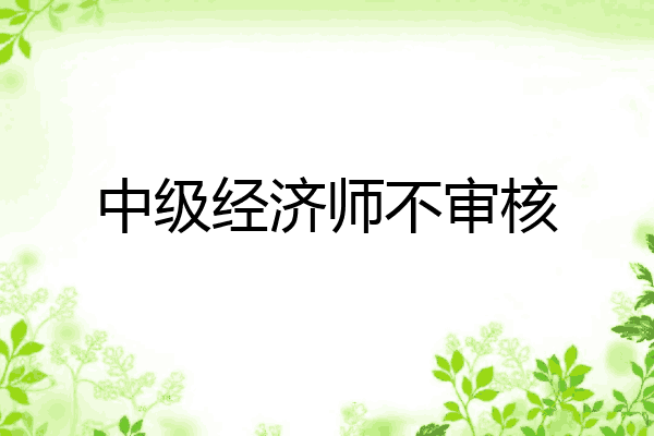 中级经济师不审核