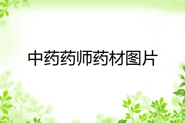 中药药师药材图片