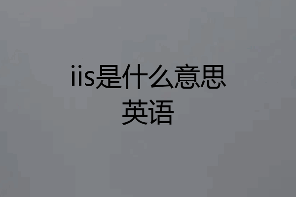 iis是什么意思英语