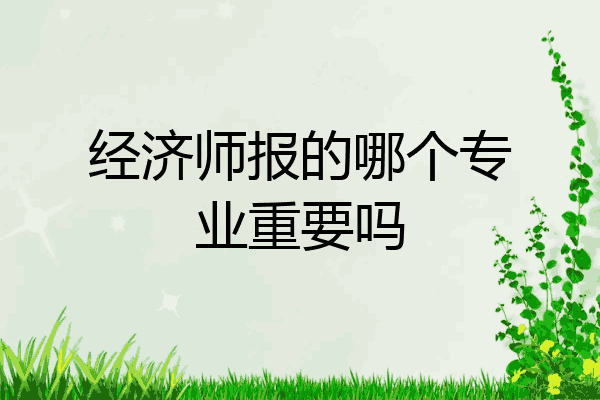 经济师报的哪个专业重要吗