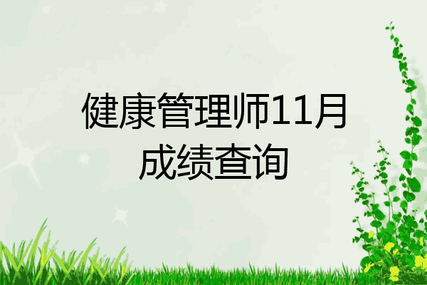 健康管理师11月成绩查询