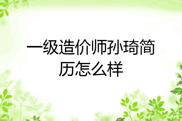 一级造价师孙琦简历怎么样