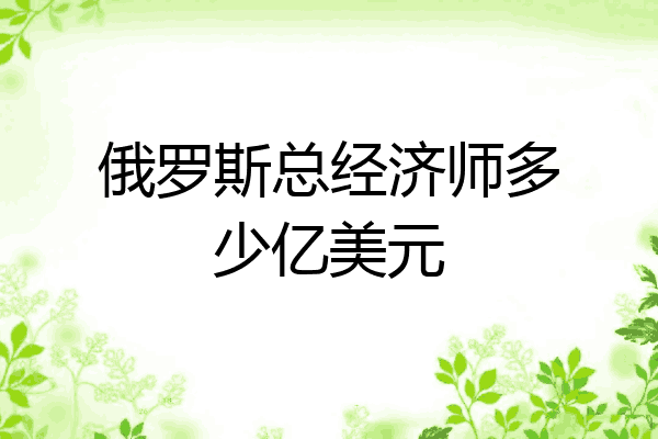俄罗斯总经济师多少亿美元