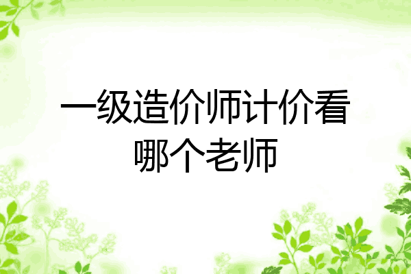 一级造价师计价看哪个老师