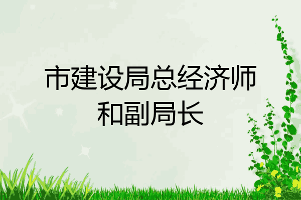 市建设局总经济师和副局长