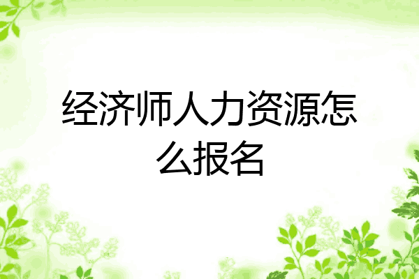 经济师人力资源怎么报名