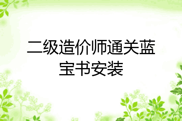 二级造价师通关蓝宝书安装