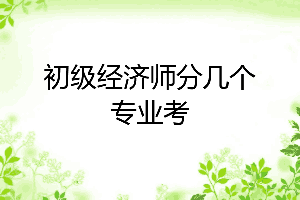 初级经济师分几个专业考
