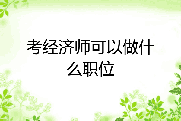 考经济师可以做什么职位