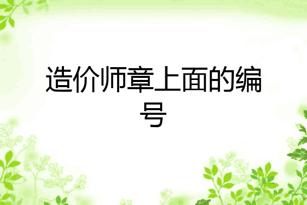 造价师章上面的编号