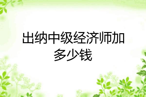 出纳中级经济师加多少钱