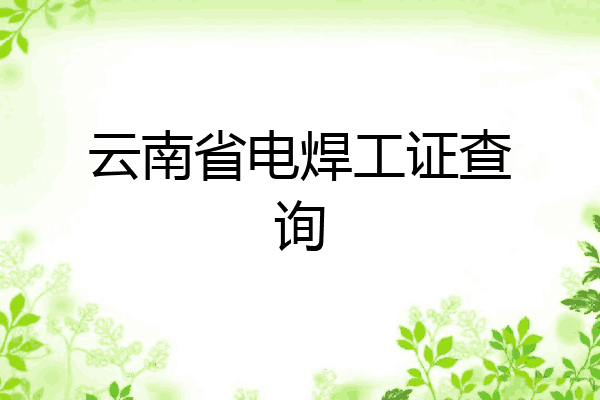 云南省电焊工证查询