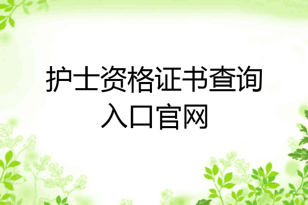 护士资格证书查询入口官网