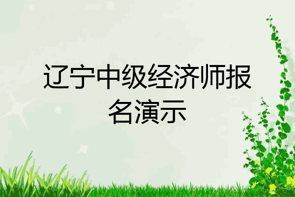 辽宁中级经济师报名演示