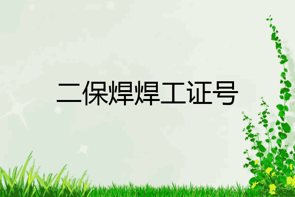 二保焊焊工证号
