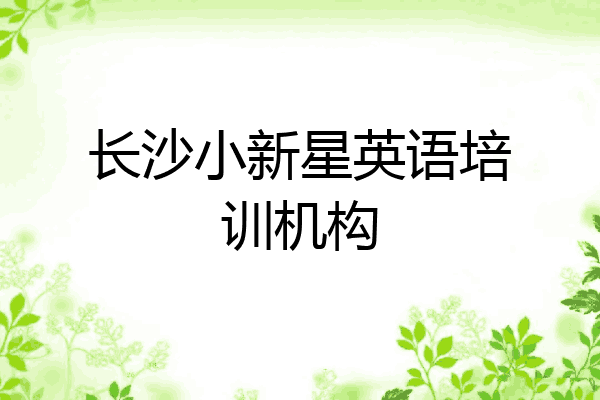 长沙小新星英语培训机构