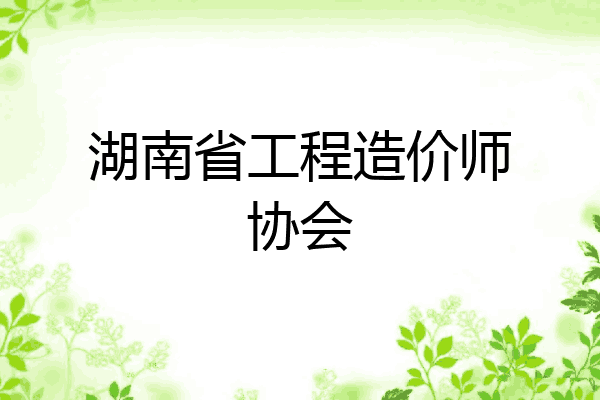 湖南省工程造价师协会