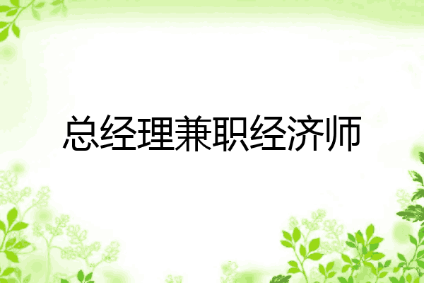 总经理兼职经济师