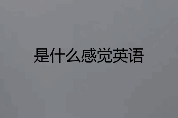 是什么感觉英语