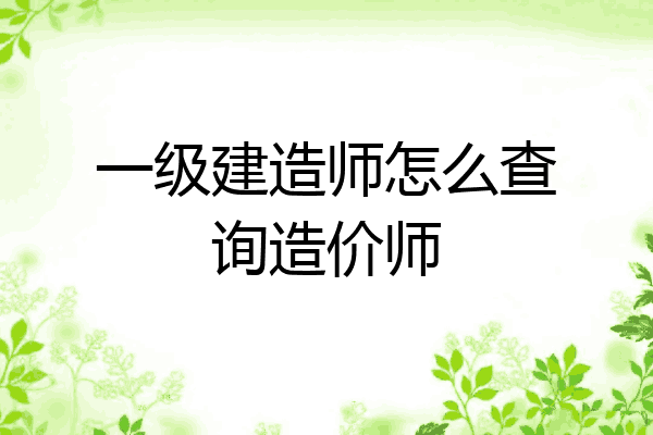 一级建造师怎么查询造价师