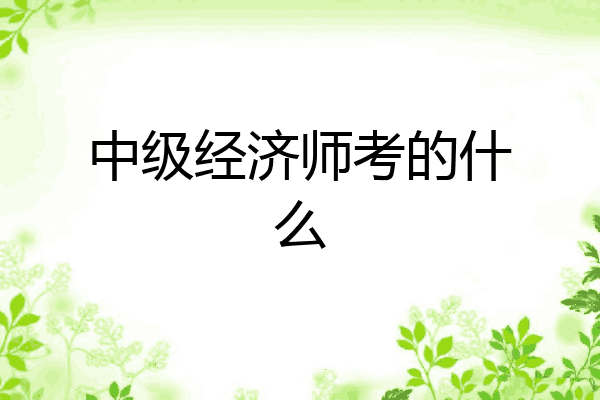 中级经济师考的什么