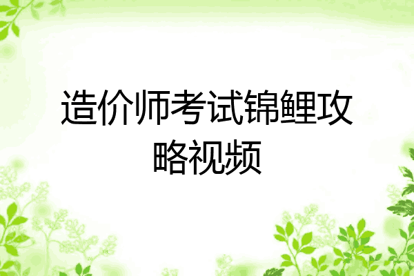 造价师考试锦鲤攻略视频