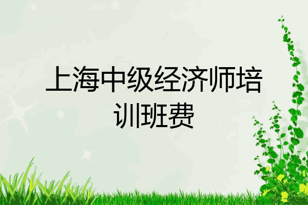 上海中级经济师培训班费