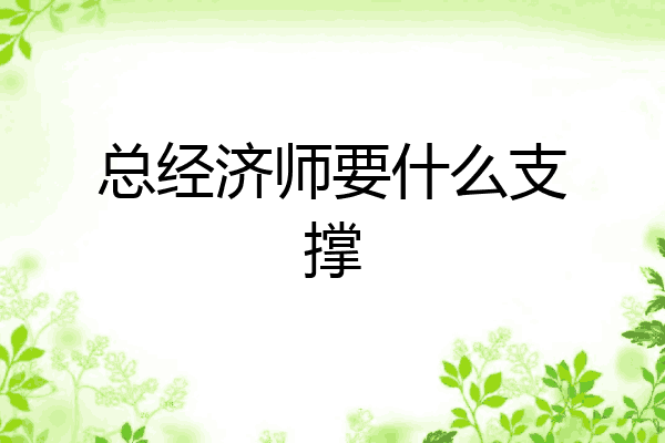 总经济师要什么支撑
