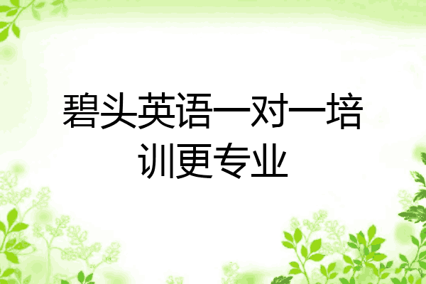 碧头英语一对一培训更专业