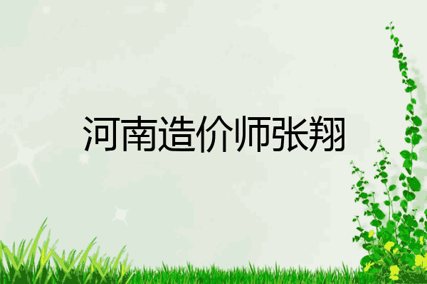 河南造价师张翔