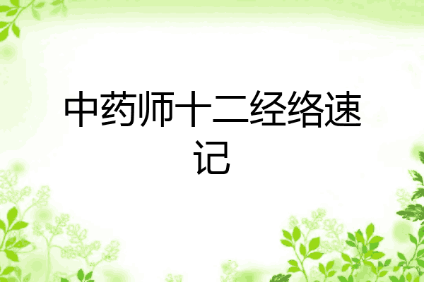 中药师十二经络速记