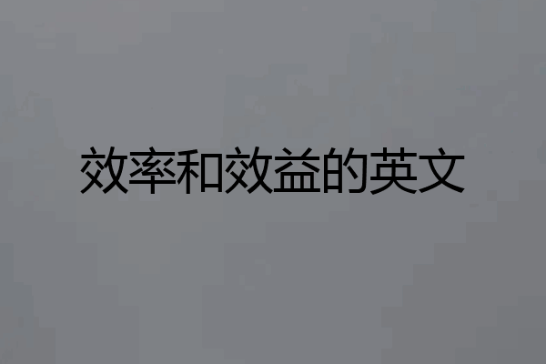 效率和效益的英文