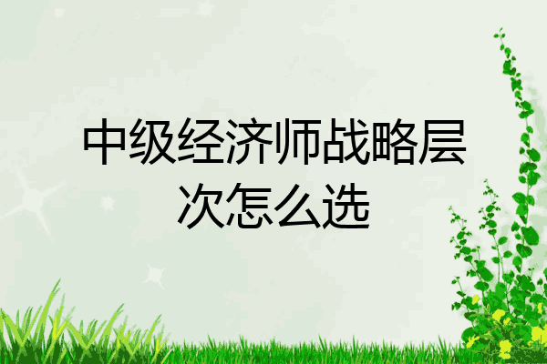 中级经济师战略层次怎么选