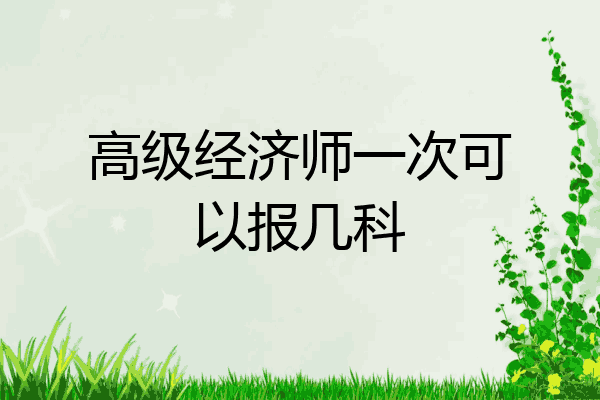 高级经济师一次可以报几科