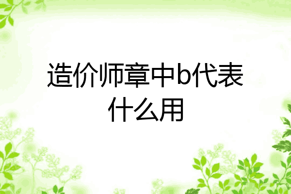 造价师章中b代表什么用